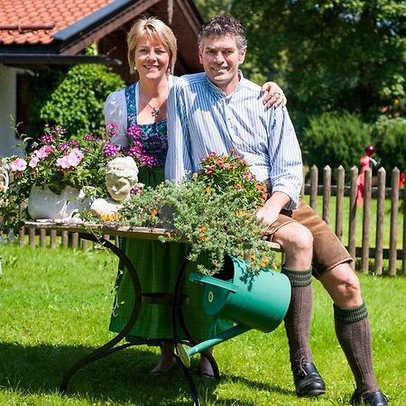 Pension Wendelstein Мисбах Экстерьер фото