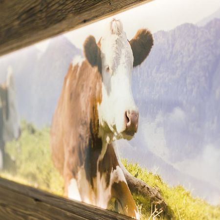 Pension Wendelstein Мисбах Экстерьер фото